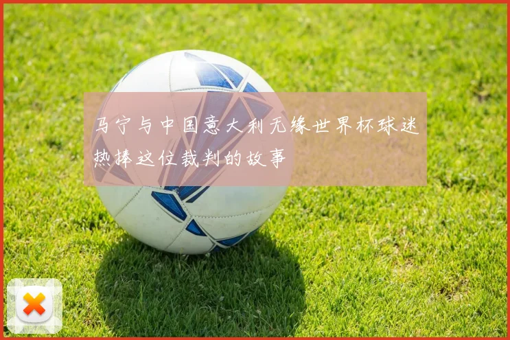 马宁与中国意大利无缘世界杯球迷热捧这位裁判的故事